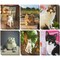 Kitty Pocket Folders for Girls, School Supplies (6 Designs, 12 Pack)